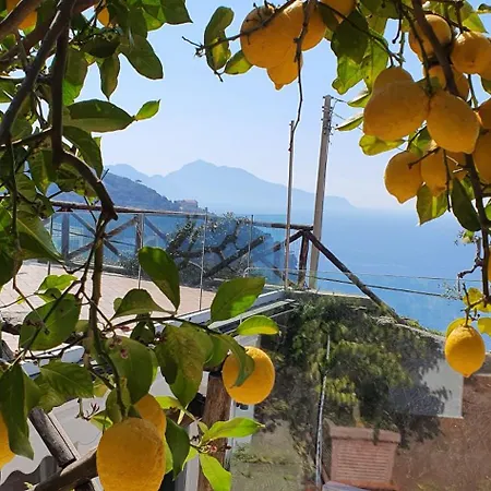 Apartamento Vesuvius House